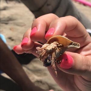 Meet your Posher, Yaremiz